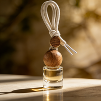 Vente en gros de flacons vides pour diffuseur de parfum de voiture, petits flacons rechargeables pour diffuseur d'huiles essentielles