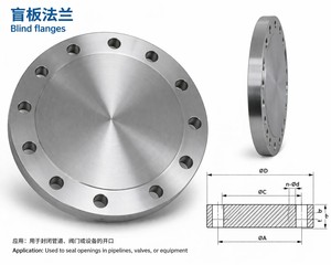 Brida Ciega de Inconel 625, Brida de Aleación 625, Brida de Aleación de Níquel ASTM B564, Resistente a la Corrosión - Product Image 2