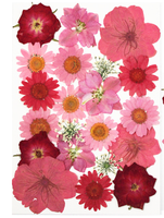 E037 Matériel de fleurs séchées, colle pour fleurs réelles, bouquet en résine fait main, fleurs pressées pour la fête des mères