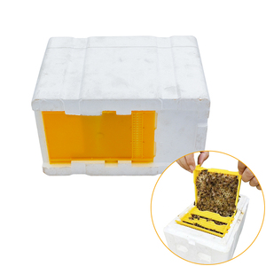Mini Foam Bee Nuc Box 5 Frame Polystyrene ESP Material Plastic Nuc Beehive For Queen Bee Mating