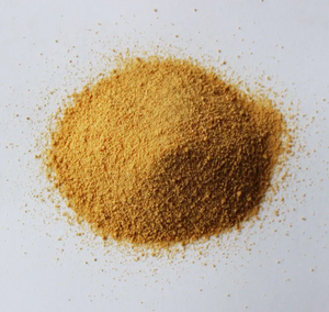 Bouillon de <span class=keywords><strong>Luria</strong></span> Bertani Miller utilisé pour la culture d'Escherichia Coli en biologie moléculaire - Product Image 6