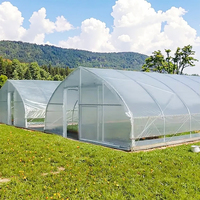 Film de serre résistant aux déchirures et anti-UV avec diffusion de la lumière pour la protection des serres de légumes