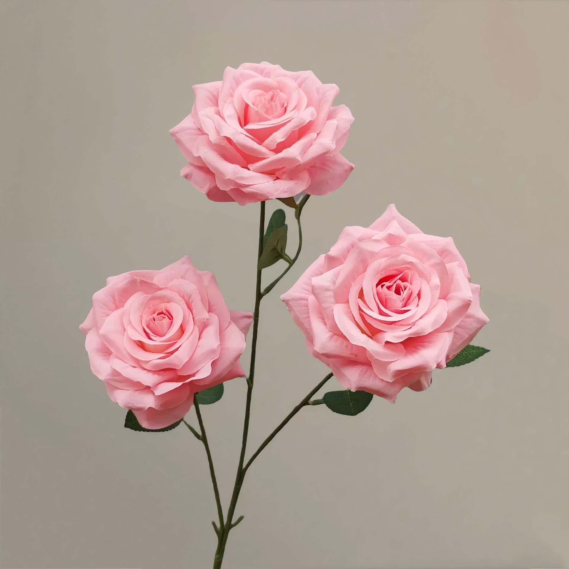 Dark Pink