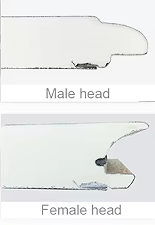 Panneaux <span class=keywords><strong>de</strong></span> <span class=keywords><strong>porte</strong></span> <span class=keywords><strong>de</strong></span> <span class=keywords><strong>garage</strong></span> sandwich plats du fabricant avec panneau sandwich en mousse, utilisés pour <span class=keywords><strong>porte</strong></span> <span class=keywords><strong>de</strong></span> <span class=keywords><strong>garage</strong></span> 9x8 à vendre - Product Image 5