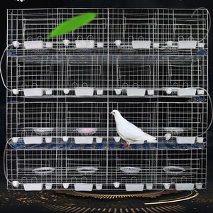 BAIYI <strong>cages</strong> for sale steel superior <strong>fancy</strong> <strong>cages</strong> racing <strong>pigeon</strong> breeding the new type  4 <strong>layer</strong> <strong>pigeon</strong> cage nipple for - Product Image 1