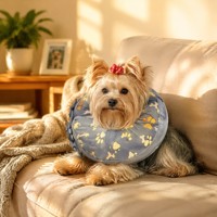 Collier de récupération gonflable doux pour chien, avec housse en velours peluche, boucle réglable, lavable, pour petits animaux
