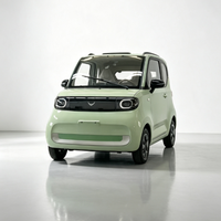 Véhicule électrique compact L6e pour les marchés des permis de conduire des adolescents, micro-voiture urbaine 2 portes 2 places avec caméra de recul et feux LED