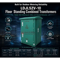 Boîtier de mesure 300/5A 10kV LDJLSZV-10 pour transformateur combiné classe 0.2S, pour utilisation en distribution d'énergie extérieure