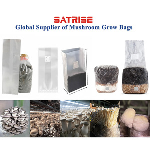 Nhiệt độ cao autoclave gusseted nấm spawn túi nấm phát triển túi cho trồng trọt - Product Image 3