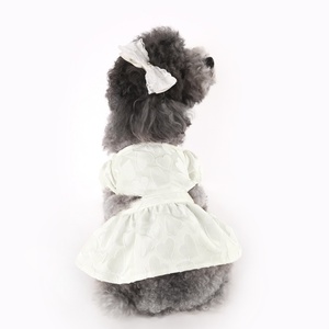 春と夏のテディキャットビション服2点セットトップ + スカートラブジャカード生地 - Product Image 4
