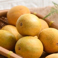 Bulkaanbod Beste Kwaliteit Monnik Fruit Zaden Lage Prijs Momordica Grosvenori Natuurlijke Biologische Monnik Fruit