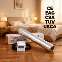 Chauffage au sol flexible moderne haute puissance 200W 230V Isolation en fluoropolymère/PVC Garantie à vie