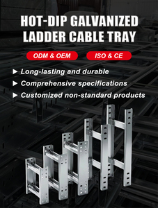 Customized Stainless Steel Cable Ladder Construction Material Cable Ladder Tray HDG Hot Dipped Galvanized Ladder Type Cable Tray - Product Image 6
