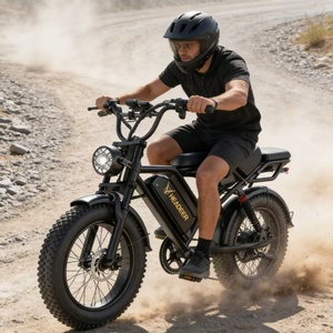 Nouveau Stock UE/USA – Vélo Électrique Fatbike V20 Pro 250W 48V 20 Pouces avec Pneus Larges et Double Amortisseur – Vélo de Ville Électrique - Product Image 1