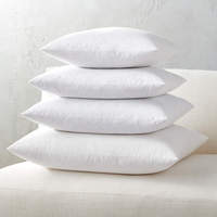 Insert de coussin en plumes de canard personnalisé expédition rapide pour lit et canapé duvet d'oie et oreiller en plumes