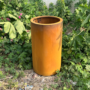 Charme extraordinaire des pots de fleurs en acier résistant aux intempéries pour les <span class=keywords><strong>jardins</strong></span> extérieurs et la décoration intérieure - Product Image 4
