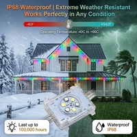 Luz de Medusa RGBW DC48V, Luz Pixel para Exteriores IP68, Luz LED Puntual Permanente para Pared Exterior de Casa, Decoración Navideña