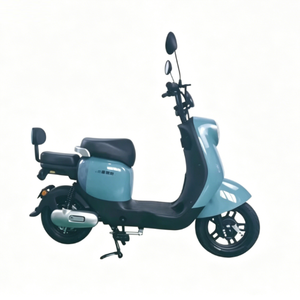Bicicletta Elettrica con Telaio in Acciaio ad Alto Tenore di Carbonio, Durevole, per Pendolari, Scelta dei Grandi Distributori, Batteria al Piombo-Acido di Qualità - Product Image 1