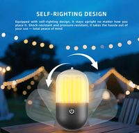 Lampe de camping rechargeable 250 lumens IPX4 avec crochet portable compatible avec un trépied pour le camping