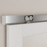 Porte coulissante miroir Wekis en verre pré-assemblée avec kit de quincaillerie complet, plusieurs options de taille pour placard et armoire (vente en gros)