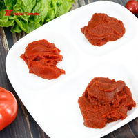 Pâte de tomate double concentrée 70g d'usine avec concentré 28-30% dans une sauce tomate à poche autoportante