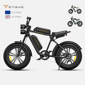 Vélo électrique tout-terrain 250W en stock UE, 48V26Ah, Fatbike 20 pouces, 7 vitesses, double batterie, pour adulte, sport, ville, E-bike urbain - Product Image 1