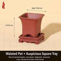 Pot de fleurs en résine pour jardin, style chinois minimaliste, avec plusieurs trous de drainage, pour orchidée de la baie rouge à feuilles fines