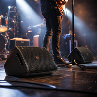 OEM/ODM Haut-parleur coaxial de 12 pouces, haut-parleur professionnel sur pied, 400W-1600W pour événements/performances en direct
