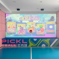 Simulateur de pickleball intelligent avec technologie de projection AR, construction métallique durable, capacité 1-2 personnes pour divertissement à domicile