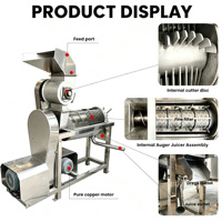 RVS Auger Juicer Dubbele Schroef Crusher Juicer Commerciële Elektrische Koudgeperste Fruit- en Groentemachine
