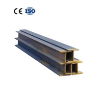 Poutre en H légère laminée à chaud IPN IPE HEA HEB W UC UB JIS Q235B en acier au carbone pour charpente de petit entrepôt ou atelier