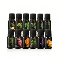 Huile Essentielle d'Aromathérapie pour Voiture, Liquide d'Appoint pour Humidificateur, Huile de Diffusion à Bâtonnets, Huiles Essentielles 10 ml