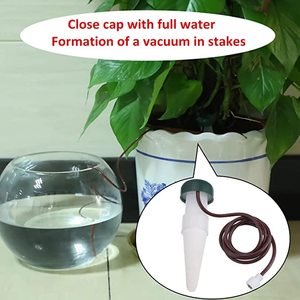 1 Pezzo Picchetto Autoirrigante in Ceramica, Irrigazione Automatica <span class=keywords><strong>a</strong></span> <span class=keywords><strong>Goccia</strong></span> per Piante, per Interni ed Esterni - Product Image 3