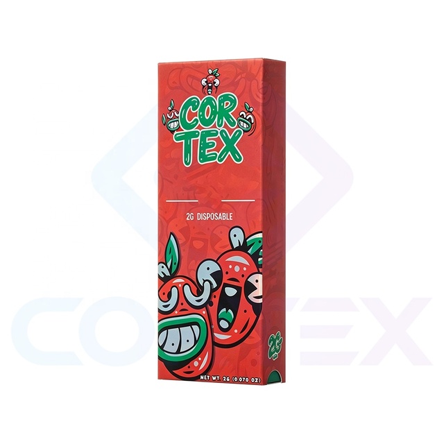 Custom Logo Printed Portable CR Cart Box 1g 0.5ml Child Resistant Empty Cartridge Self Erecting Packaging with Handle