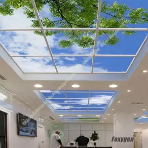 Translucent MSD stretch ceiling PVC lackfolie with Good price illusion Effect decorative film