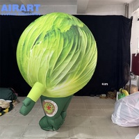 Costume de Mascotte Gonflable Chou en Promotion, Déguisement de Légume Gonflable Personnalisé pour la Promotion