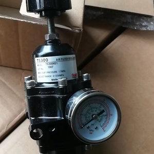 Válvulas Reductoras de Presión Tissin TS300/TS305 de Corea del Sur, Filtro de Aire TS300NS1/TS300PS1/TS300NH1 - Product Image 5