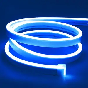 Led Neon Strip Lights, linh hoạt RGB LED Lights Neon Rope IP65 không thấm nước Neon Flex cuttable cho Đảng Home khách sạn shopsdiy