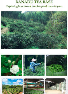 ดอกมะลิสีเขียวชาไข่มุกแฮนด์เมดทรงบอลมีกลิ่นหอมดอกมะลิแพ็คจำนวนมากที่มีคุณภาพสูงที่กำหนดเองยอมรับมาตรฐาน ISO HACCP - Product Image 3