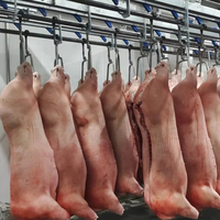 Solution clé en main intégrée pour l'abattage des porcs, équipement d'abattoir automatique, pompe, moteur, roulement, moteur, acier inoxydable SUS 304
