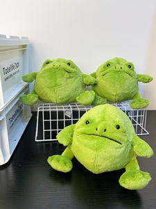 Peluche Jellycat Richie Rain Frog 15 cm, jouet en peluche doux avec rembourrage en bas, vente en gros, adorable grenouille pour enfants, cadeau - Product Image 5