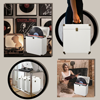 Vinyl-Schallplatten Aufbewahrungs- und Präsentationsbox 7/10/12 Zoll Organizer für Wertvolle Schallplatten Fasst 30 Platten für Album-Aufbewahrung Umzug