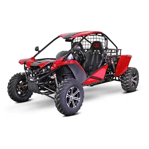 New Type 2 Seater Beach Go Karts Renli 1500cc Dune 4x4越野越野车