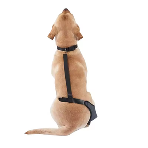 Rodillera Ortopédica OEM para Perros, Protección Profesional, Material <span class=keywords><strong>de</strong></span> Cuero, Cierre <span class=keywords><strong>de</strong></span> Hebilla Ajustable para Uso Deportivo y Gateo, Reduce la Presión - Product Image 5