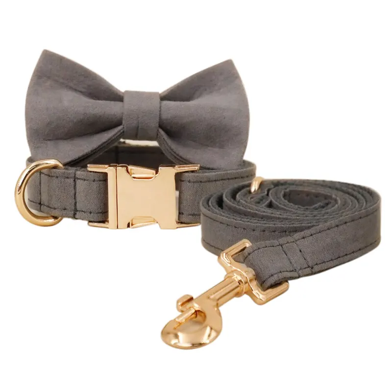 Laisse pour animaux de compagnie collier et laisse pour chien ensemble fabricant personnalisé concepteur luxe solide 2023nouveau produit collier de chien velours