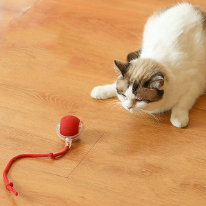 KingHon Cat Rolling <b>Ball</b> Usb <b>Dog</b> Toys Smart Gravity Jumping <b>Ball</b> Automatic Training for Pet Interactive Movement Toy - Product Image 1