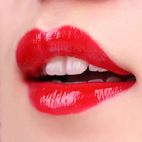 Emballage personnalisé OEM, nouveau design, rouge à lèvres mat, imperméable, végan, haute qualité, rouge à lèvres liquide mat longue durée