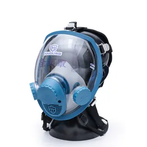 HAIGU HG-800D Respirator Protective Full Face Gas Mask Respiratory Facemask