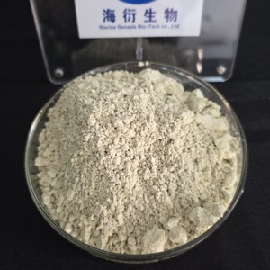 مسحوق بروتين نباتي عضوي بدون محليات صناعية، 60% بروتين بذور اليقطين، قابل للتخصيص - Product Image 4