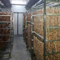 Zonne-hybride warmtepompdroger voor het drogen van tomaten, pepers en groenten, 220 kg, off-grid voor landbouwverwerking in afgelegen gebieden